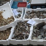 fischmarkt-ausland-aufnahme